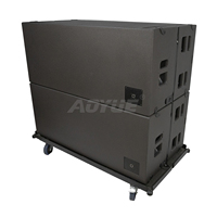 KA28 Double Subwoofer 18 Pouces Ultime LF Omni / Cardio pour Système Sonore de Concert – Solution Haut de Gamme
