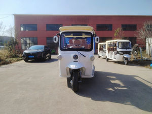 Tricycles électriques à <span class=keywords><strong>trois</strong></span> <span class=keywords><strong>roues</strong></span> pour adultes à vendre, 9 places, véhicule EEC avec pneus lourds à grande vitesse - Product Image 6