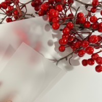 Film en polycarbonate PC mat sur mesure en rouleaux, largeur 915 mm 930 mm, translucide, résistant à la chaleur, feuille de PC