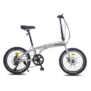 The 20 "6 speed alloy folding mountain bike for adult and child light folding bike is cheap classic model