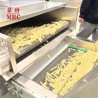 Op maat gemaakte industriële frietmachines van roestvrij staal 304, productielijn voor gebakken aardappelchips en snacks