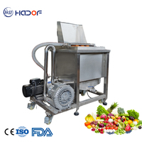 Heetverkopende industriële fruit- en groentewasmachine, notenverwerking, roestvrijstalen motor, hoge efficiëntie, laag verbruik, nieuw