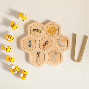Montessori Sorting Honey Bee Learning Kit Honeycomb Wooden Puzzles Montessori Classroom Materials Life Cycle Toys for Boys Girls - Product Image 2