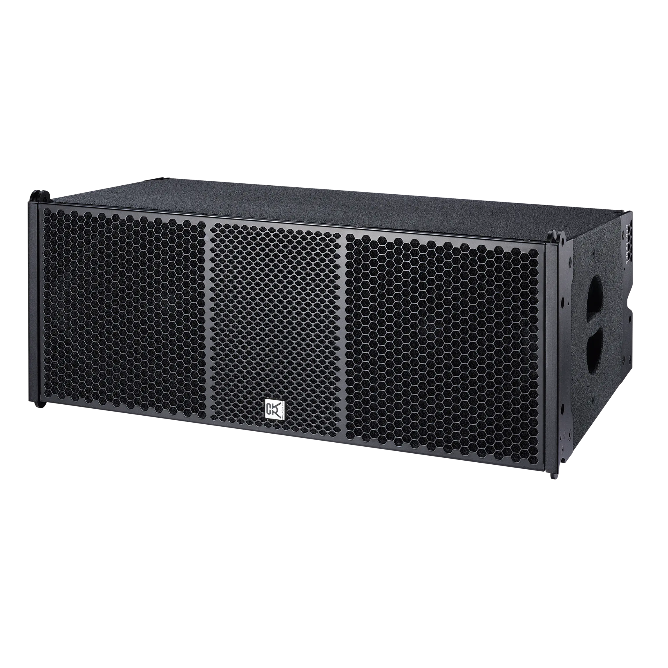 Surround Sound Systeem Dubbel 12 Inch Line Array Systeem Merk Explosiv Model Spot Nieuw Product Berken Multiplex Zwart Beroep