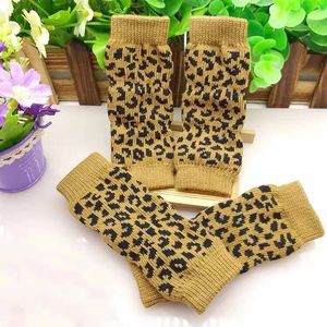 Kaus kaki katun hewan peliharaan pelindung sendi, kaus kaki anjing Anti kencing dan pelindung lutut - Product Image 2