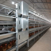 Cage à poulets de type H, système de cages automatiques Qianmu pour l'élevage intensif de poules pondeuses, fournisseur chinois