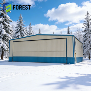 Hangar d'avion en structure acier haute résistance à grande portée, acier Q355B pour avions privés, prix compétitif - Product Image 1