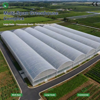 Serre commerciale multi-travées à arche, à faible coût, directement de l'usine, avec ventilation enroulable pour la culture de tomates et de légumes