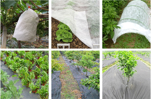 カスタマイズされたポリプロピレン不織布農業用フロストフリーススパンボンドPPカバー防水抗UV逃亡植物保護 - Product Image 5
