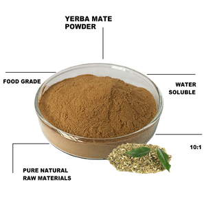 Extracto de té Mate de Yerba Soluble en agua, 100% orgánico puro, a granel, 10:1 - Product Image 2