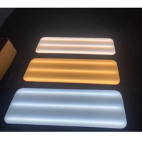 Lampe de détection de bosses légère pour voiture, 6 LED, bande réfléchissante, en aluminium noir, garantie 1 mois, pour détection de bosses et dommages par grêle
