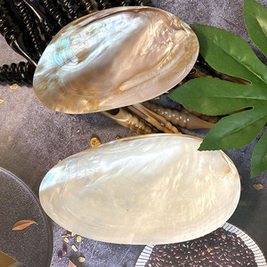 Assiette verte nacre artisanale moule de mer biodégradable conque coquille plat Photo bijoux assiettes décoratives - Product Image 1