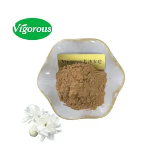 Pó de chá de jasmine puro natural orgânico