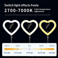Lampe d'appoint LED RGB en forme de cœur 10/13 pouces pour photographie mobile et diffusion en direct, réglable multi-niveaux, pour embellissement
