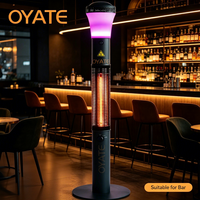 Chauffage de terrasse autonome infrarouge pour maison et commerce, 1500W, chauffage électrique extérieur avec musique Bluetooth et lumière RGB