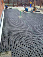 Panneau de drainage en plastique pour gazon artificiel de 30 mm, pour toit vert, drainage du gazon artificiel, cellule de drainage