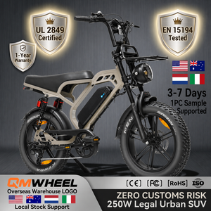 QMHEEL V20 Limited, Bicicleta Eléctrica Todoterreno de 48V, Bicicleta Eléctrica Urbana con Batería de Litio, Almacén en Italia, Holanda y Europa para Alquiler Turístico, Suministro B2B - Product Image 1