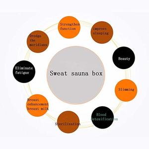 Sauna de <span class=keywords><strong>vapor</strong></span> inflable, olla de 4,2 L y 2000W con enchufe europeo y estadounidense, <span class=keywords><strong>baño</strong></span> portátil para perder peso, terapia de desintoxicación, tienda de <span class=keywords><strong>vapor</strong></span> grande - Product Image 4
