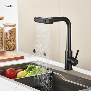 صنبور مطبخ حديث أحادي اللون أسود بمقبض من الفولاذ المقاوم للصدأ مع مقبض نحاسي رشاش سحبي - Product Image 1