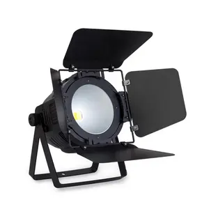 200W Fresnel Spotlight Stage Video Studio Lighting DMX LED Fresnel Light