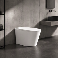 Pompe de surpression intelligente pour toilettes, bidet avec pression d'eau puissante, siège chauffant, chasse d'eau automatique et télécommande