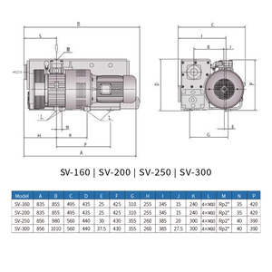 カスタマイズ可能な5kw電気SV真空ポンプ大型オイルシールロータリーベーン低圧ポンプ750 M3/hr OEMサポート - Product Image 5