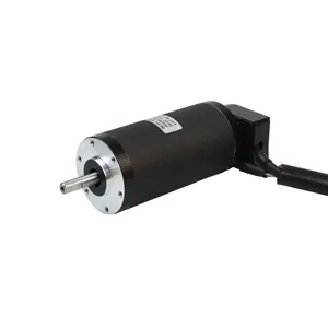 Motore rotondo di BLDC di cc 0.15N.m 63w 4000RPM 42mm di 24v con il codificatore su misura 1250ppr