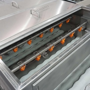 Laveuse-polisseuse à rouleaux pour légumes-racines et fruits (pastèque, pomme, prune, pruneau, pomme de terre) avec brosse souple - Product Image 4