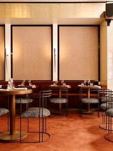 Sillas de Bar Modernas de Metal con Cojines con Estampado de Leopardo para Muebles Comerciales de Hotel, Diseño Contemporáneo - Product Image 3