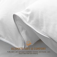Couette matelassée en duvet et plumes naturelles pour la maison