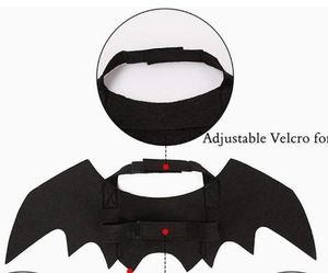 Disfraces de <span class=keywords><strong>Halloween</strong></span> para Gatos, Chalecos de Poliéster con Estampado Animal, Ropa para Mascotas, Accesorios para Disfraces de Fiesta para Perros Pequeños, Cachorros y Gatitos - Product Image 5