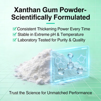 Gomme xanthane en poudre de haute qualité, qualité alimentaire, épaississant, stabilisateur, émulsifiant, sac de 25 kg, prix compétitif, directement de l'usine