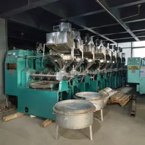 Machine de presse à huile à vis 10 tpd 6yl160, équipement de presse à huile d'arachide, machine de presse à huile 10 tons par jour