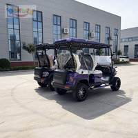 Voiturette de golf électrique compacte Donwin 48V/60V/72V 3-4 places 50 km/h Freins à disque avant/arrière Certifiée CE/EEC Aluminium Étroit