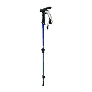 Unique Walking Stick With Night Light