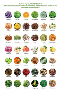 Offre Spéciale Fabricants 100% pur Natura <span class=keywords><strong>Fenugrec</strong></span> <span class=keywords><strong>Huile</strong></span> Essentielle - Product Image 3