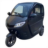 Scooter électrique à trois roues entièrement fermé EEC COC 1000W+ pour 2 passagers