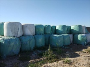 Film d'ensilage opaque épais en LLDPE 25 microns, résistant à l'humidité et aux UV, pour l'emballage des balles - Couleurs noir et vert-blanc, marque Sinyar/OEM - Product Image 6