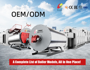 เครื่องกำเนิดไอน้ำไทกัว 30 กิโลวัตต์ LDR สำหรับอุตสาหกรรม พร้อมคุณสมบัติอัตโนมัติ เครื่องกำเนิดไฟฟ้าจากไอน้ำ - Product Image 5