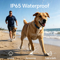 Collier GPS intelligent pour animaux de compagnie, rechargeable, 4G, en temps réel, mini, étanche, pour petits chiens et chats, localisateur de chiens et de chats