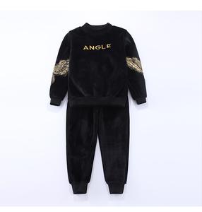 Vêtements pour enfants en gros, ensembles deux pièces décontractés pour garçons et filles, automne, aigle brodé, velours doré, vêtements pour enfants - Product Image 6
