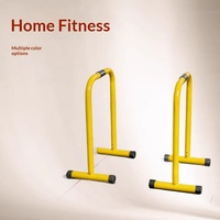 Rak Push-up Parallel Bars Gaya Split untuk Rumah, Russian Twist, Baja Karbon Tebal, Peralatan Fitness Anti Selip untuk Dalam Ruangan, Buatan China