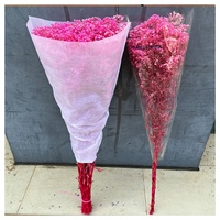 Fleur de Gypsophile Stabilisée 120 g, Vente en Gros Usine, Fleurs Séchées Naturelles, Bouquet Souffle de Bébé, Fleur de Gypsophile Florale pour Mariage