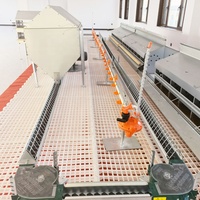 Nouvelles cages à poules d'extérieur en métal résistant aux intempéries pour la ponte des œufs – Équipement d'élevage