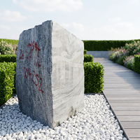 Bloc de granit gris de Shandong taillé à la machine TY – Solution écologique et moderne avec support technique en ligne pour parcs et villas