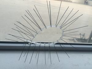 Pointes d'oiseau <span class=keywords><strong>anti</strong></span>-pigeon flexibles en acier inoxydable à 5 broches - Product Image 6