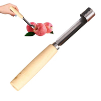 Alat Pengupas Inti Buah Pir dari Baja Anti Karat, Manual, Anti Selip, dengan Gagang Kayu untuk Mengiris Buah, Memasak, dan Salad