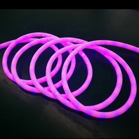 Bande lumineuse LED néon flexible tressée RGBIC adressable à 360 degrés, étanche IP67, avec CRI 90 élevé et fonction dimmable