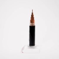 YJV 0.6/1KV cuivre monocœur 1*300mm XLPE isolé PVC gainé câble d'alimentation basse tension