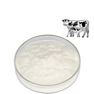 סיטונאי מזון בדרגת מזון 10% 40% אבקת קולוסטרום בוקע אבקת קולוסטרום בוקע - Product Image 1